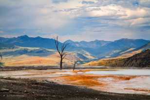 Mammoth Hot Springs-7707.jpg